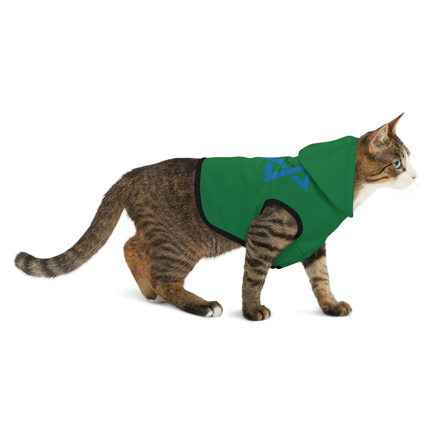 Magen David Pet Hoodie