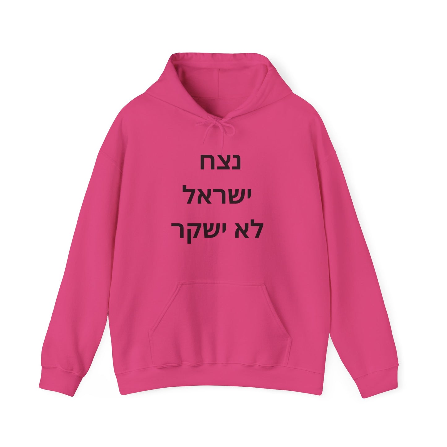 Adult נצח ישראל לא ישקר Hooded Sweatshirt