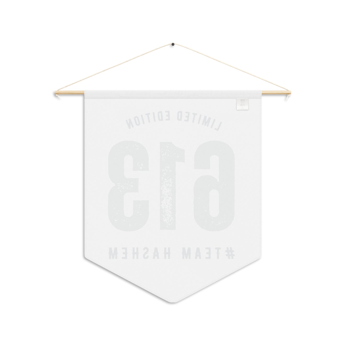 613 Team Hashem pennant
