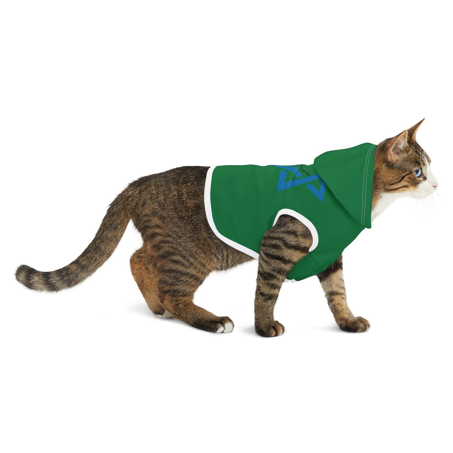 Magen David Pet Hoodie