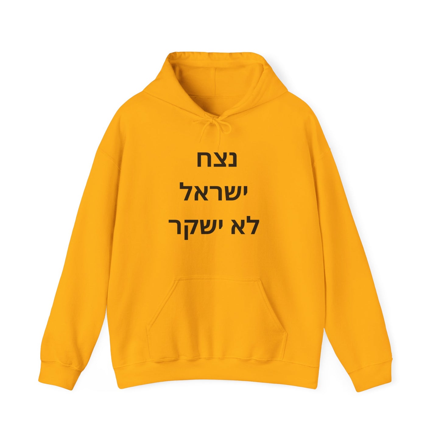 Adult נצח ישראל לא ישקר Hooded Sweatshirt