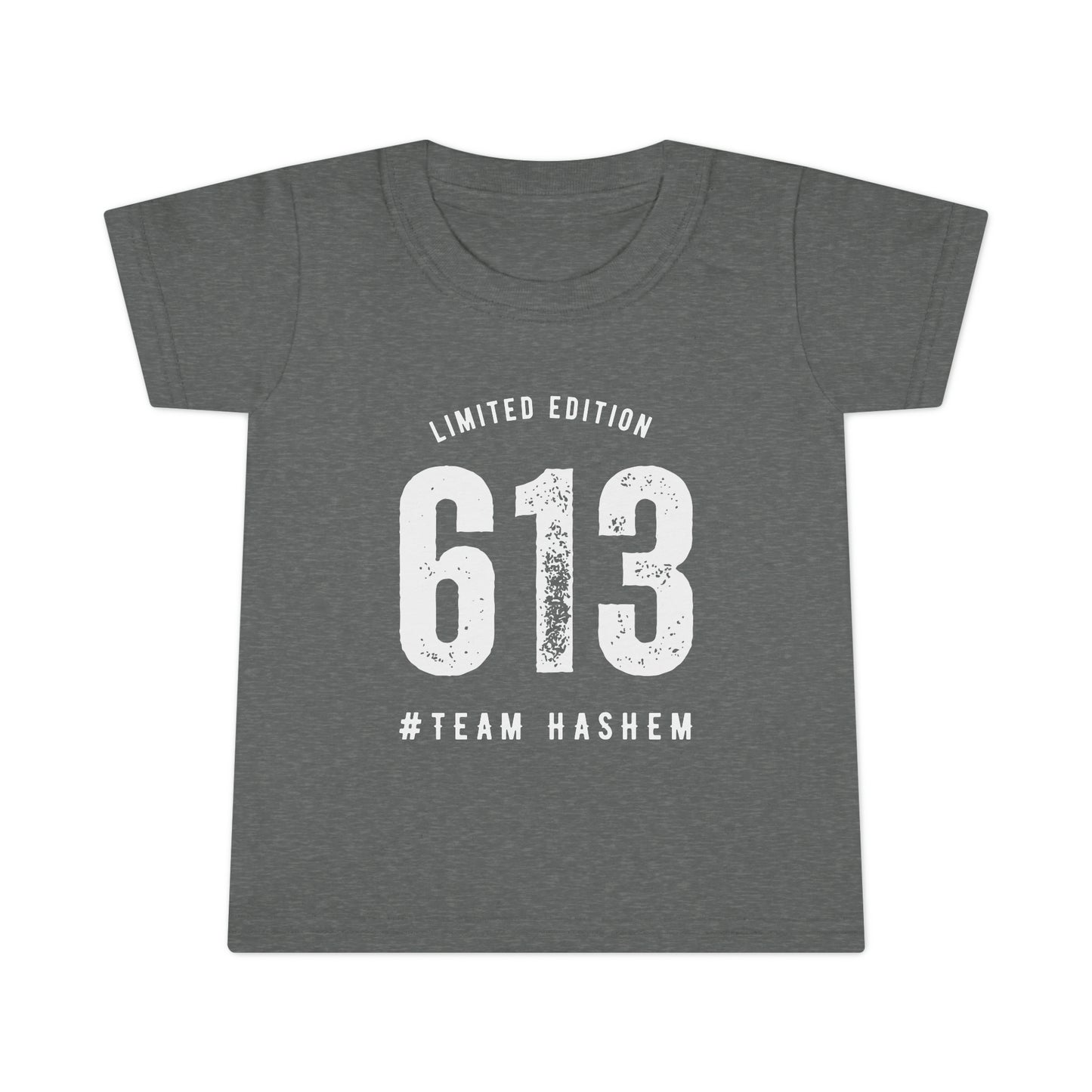 Toddler's 613 Team Hashem t-shirt